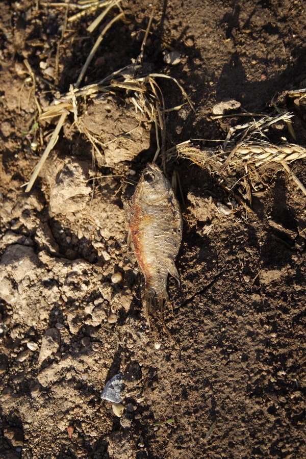 disasters storm_damage : near Greensburg, Kansas, USA   24 May 2007