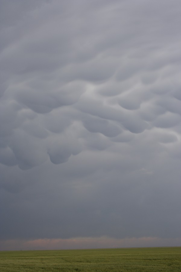 mammatus mammatus_cloud : Keyes, Oklahoma, USA   31 May 2007