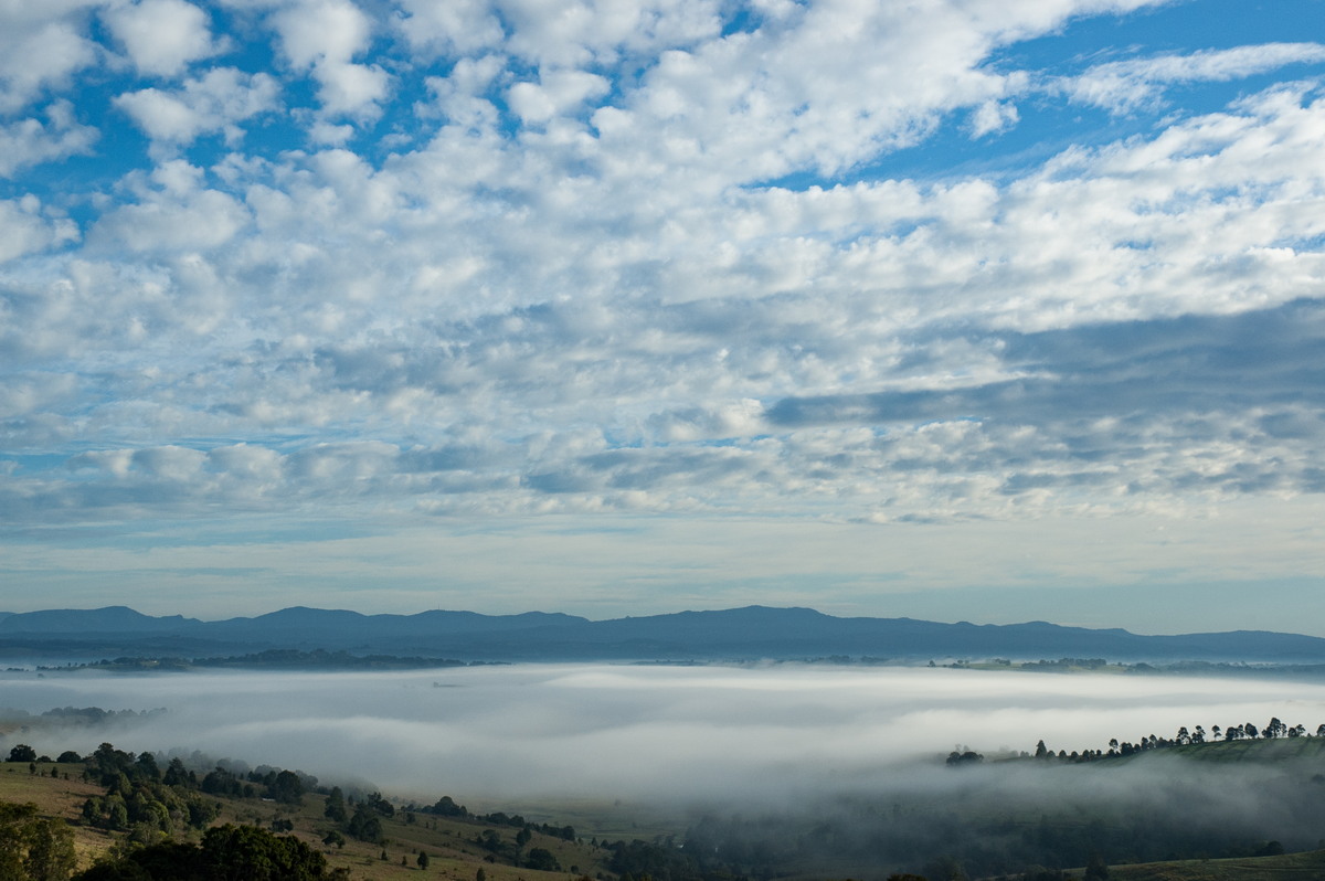 fogmist fog_mist_frost : McLeans Ridges, NSW   4 June 2007