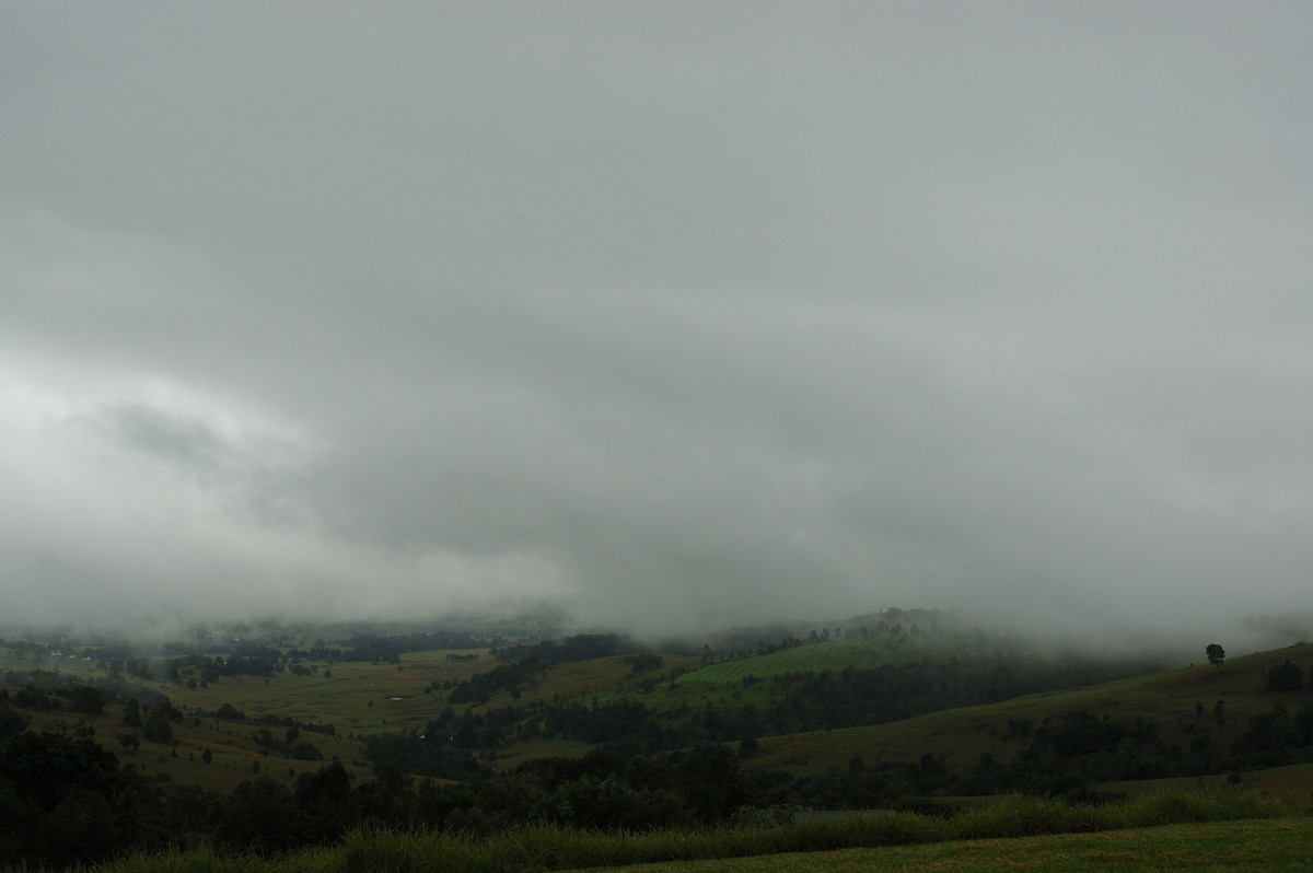 fogmist fog_mist_frost : McLeans Ridges, NSW   6 June 2007