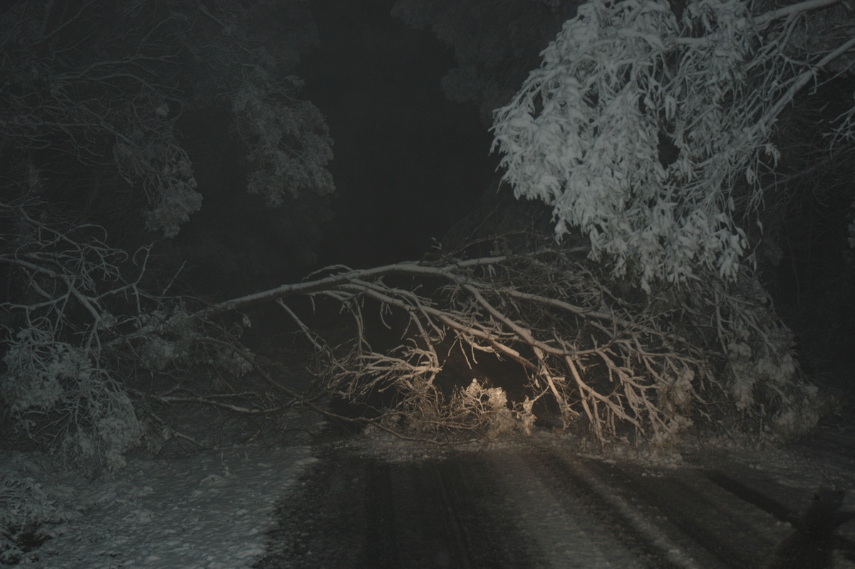 disasters storm_damage : near Tenterfield, NSW   9 June 2007