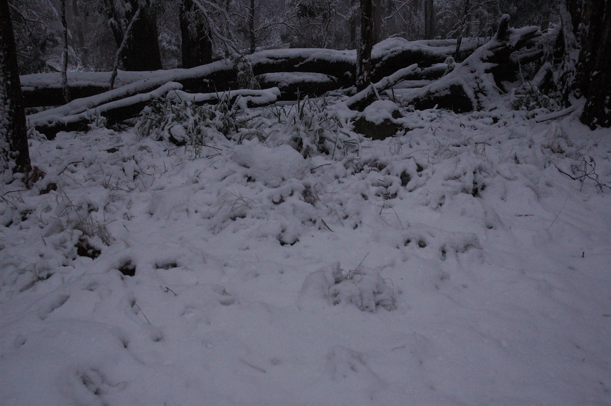 snow snow_pictures : near Tenterfield, NSW   9 June 2007