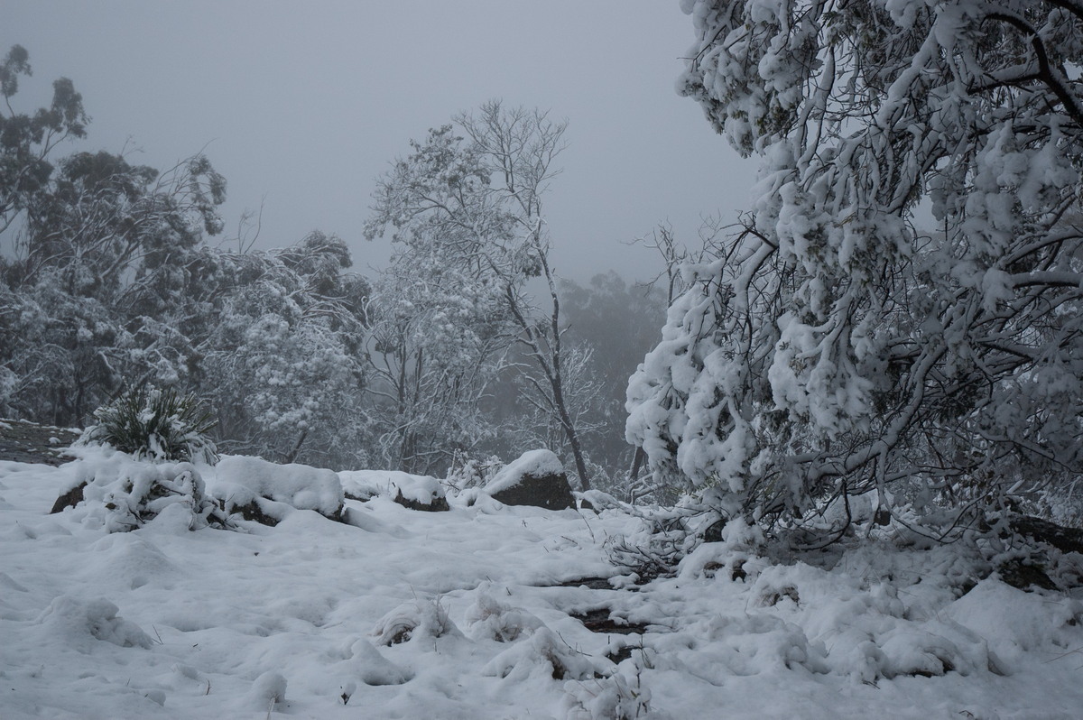 snow snow_pictures : near Tenterfield, NSW   9 June 2007