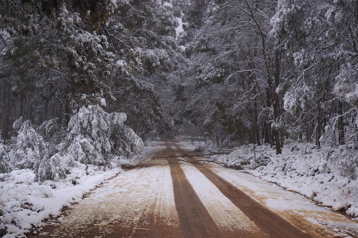 snow snow_pictures : near Tenterfield, NSW   9 June 2007