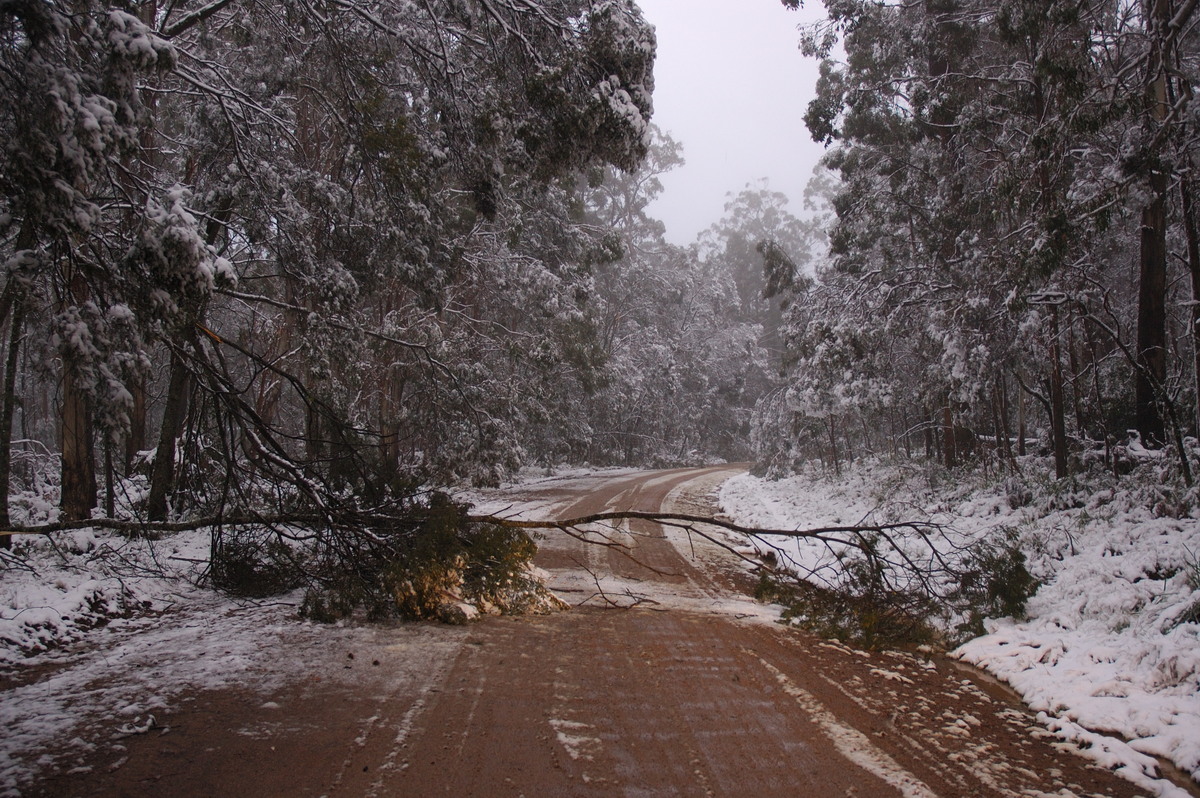 disasters storm_damage : near Tenterfield, NSW   9 June 2007