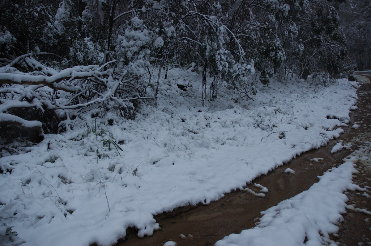 snow snow_pictures : near Tenterfield, NSW   9 June 2007