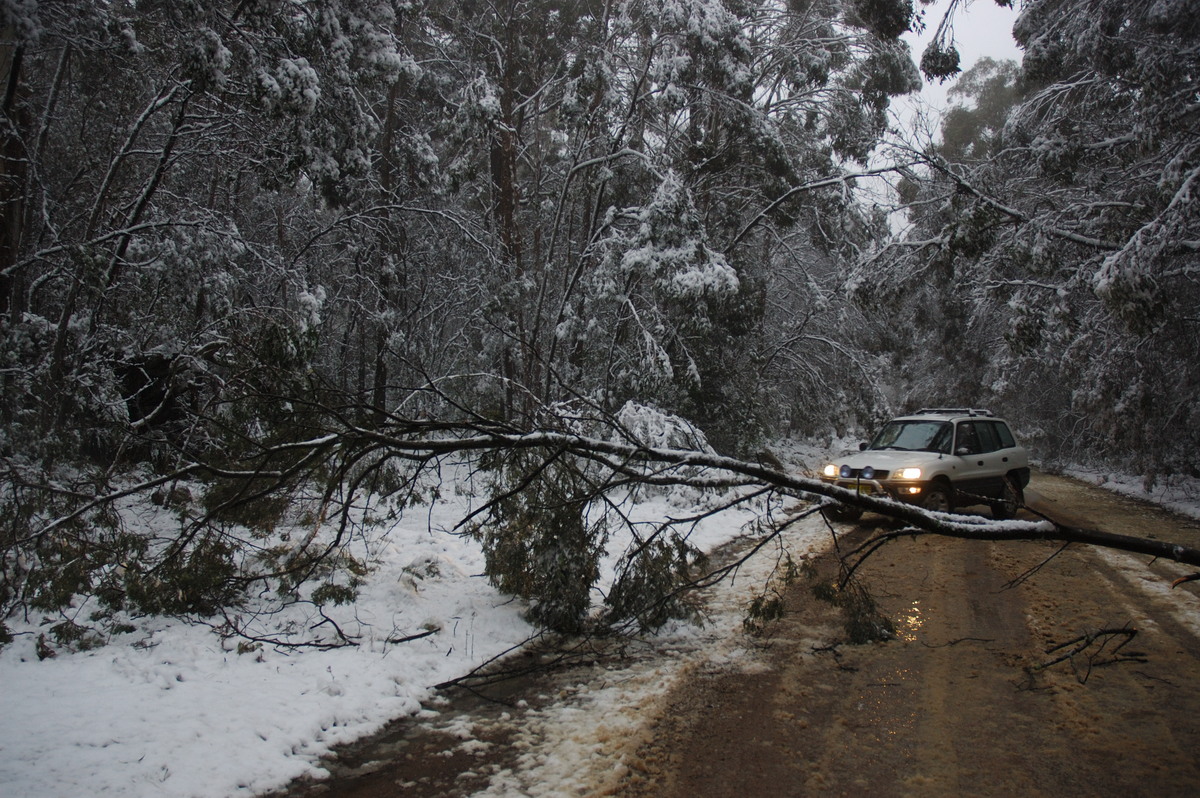disasters storm_damage : near Tenterfield, NSW   9 June 2007