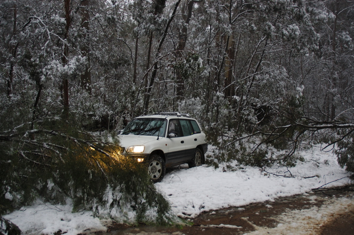 snow snow_pictures : near Tenterfield, NSW   9 June 2007