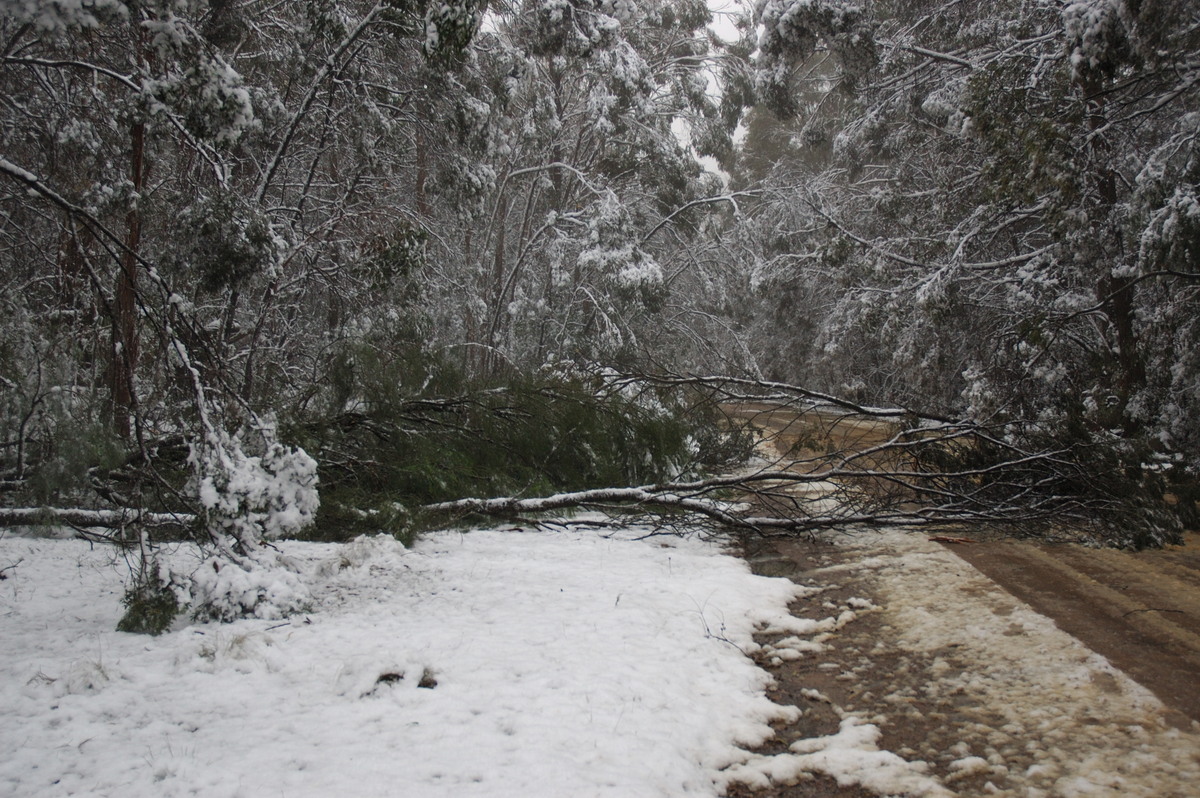 snow snow_pictures : near Tenterfield, NSW   9 June 2007