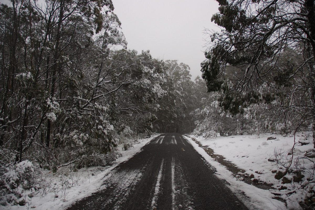 snow snow_pictures : near Tenterfield, NSW   9 June 2007