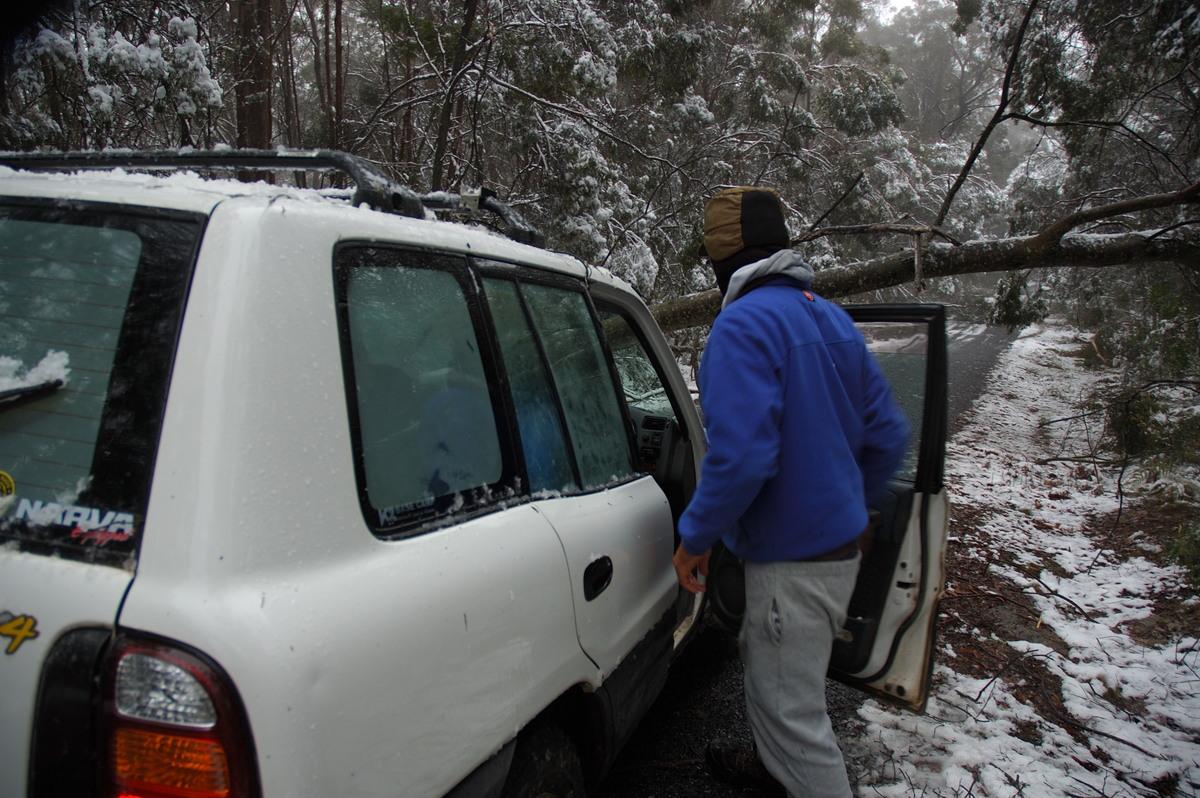 snow snow_pictures : near Tenterfield, NSW   9 June 2007