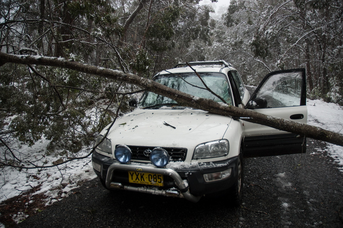 snow snow_pictures : near Tenterfield, NSW   9 June 2007