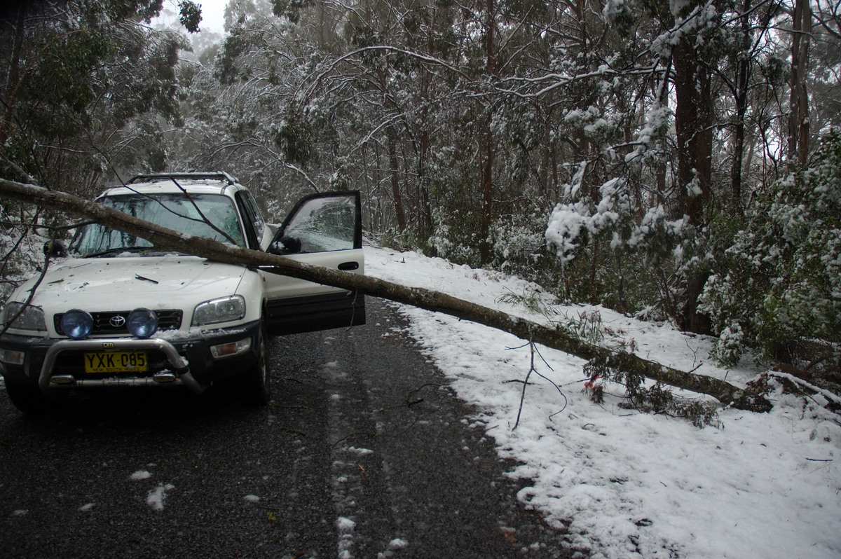 disasters storm_damage : near Tenterfield, NSW   9 June 2007