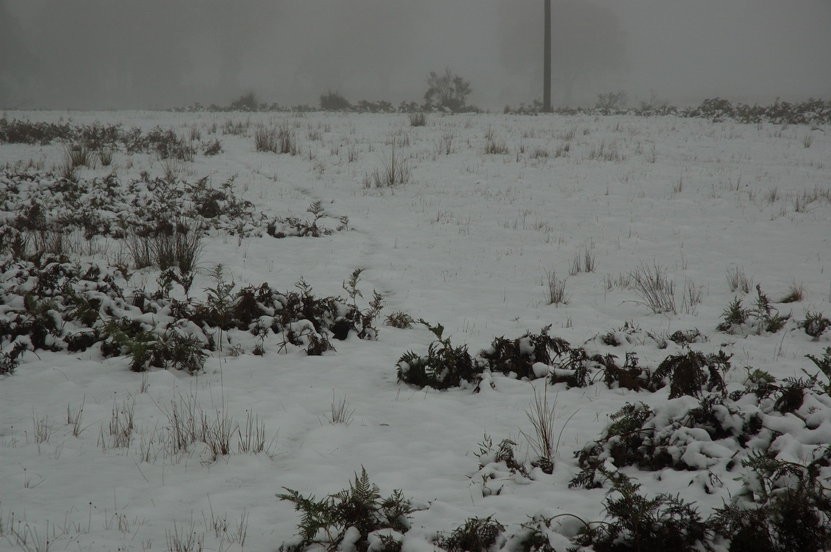 snow snow_pictures : near Tenterfield, NSW   9 June 2007