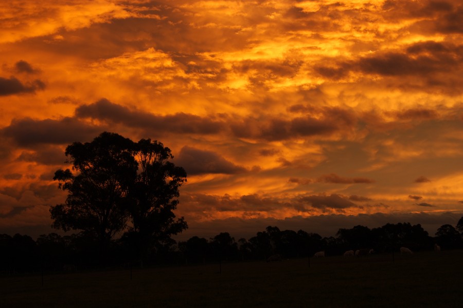 sunset sunset_pictures : Schofields, NSW   15 June 2007