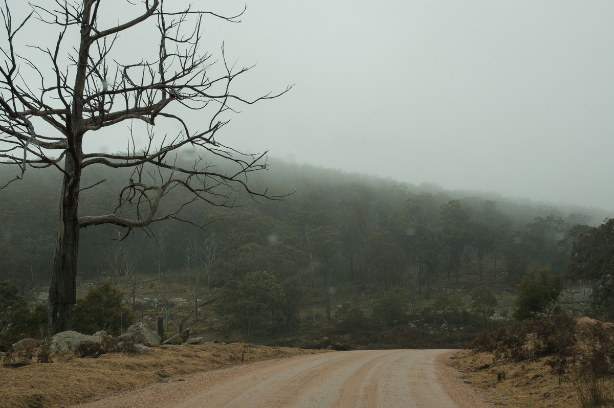 precipitation precipitation_rain : near Tenterfield, NSW   28 June 2007