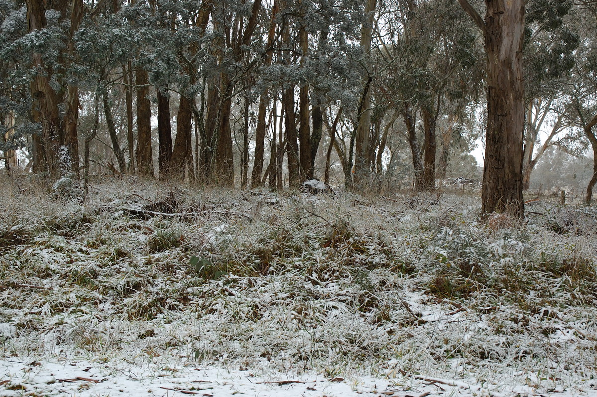 snow snow_pictures : Ben Lomond, NSW   28 June 2007