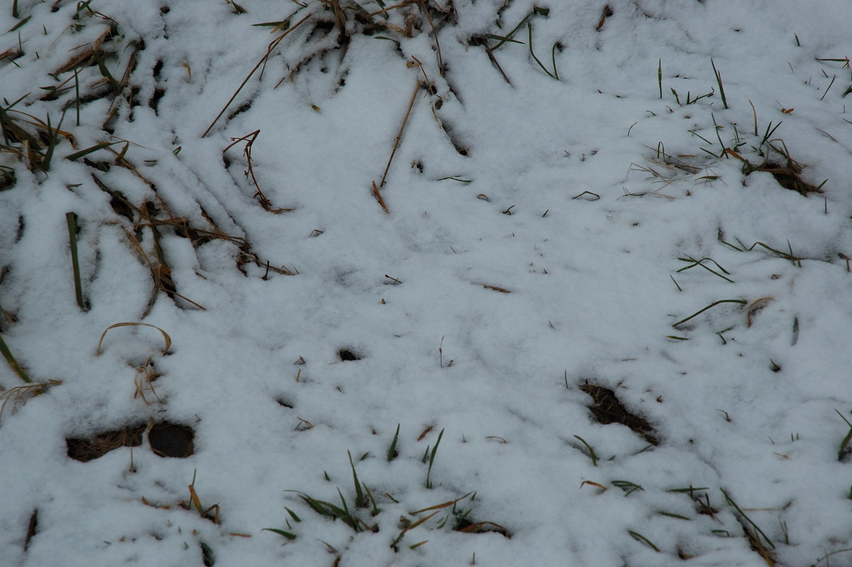 snow snow_pictures : Ben Lomond, NSW   28 June 2007