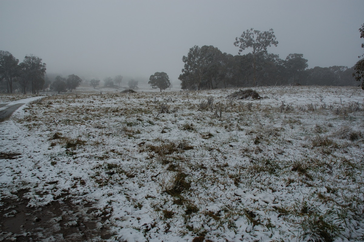 snow snow_pictures : Ben Lomond, NSW   28 June 2007