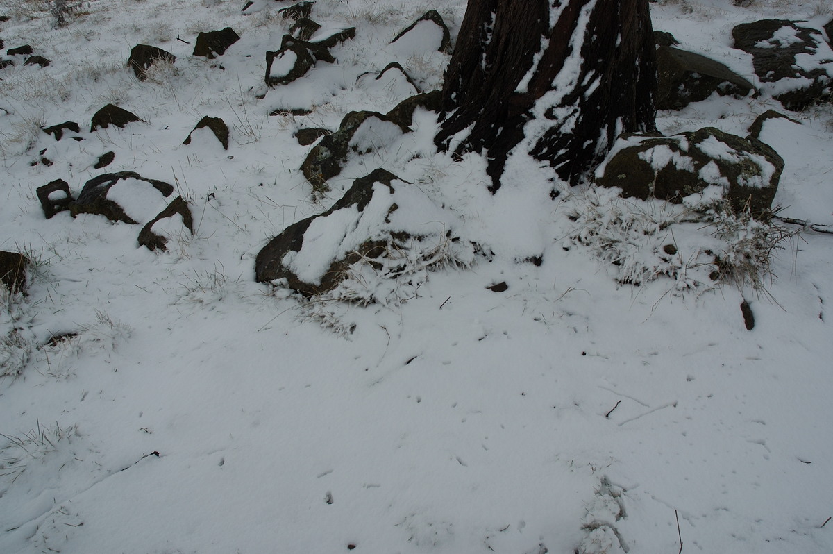 snow snow_pictures : Ben Lomond, NSW   28 June 2007