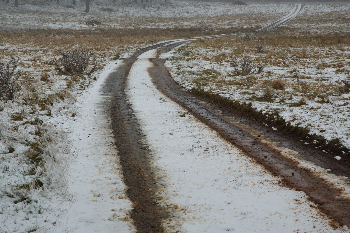 snow snow_pictures : Ben Lomond, NSW   28 June 2007