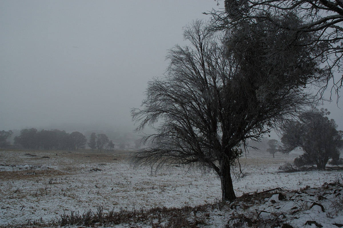 snow snow_pictures : Ben Lomond, NSW   28 June 2007