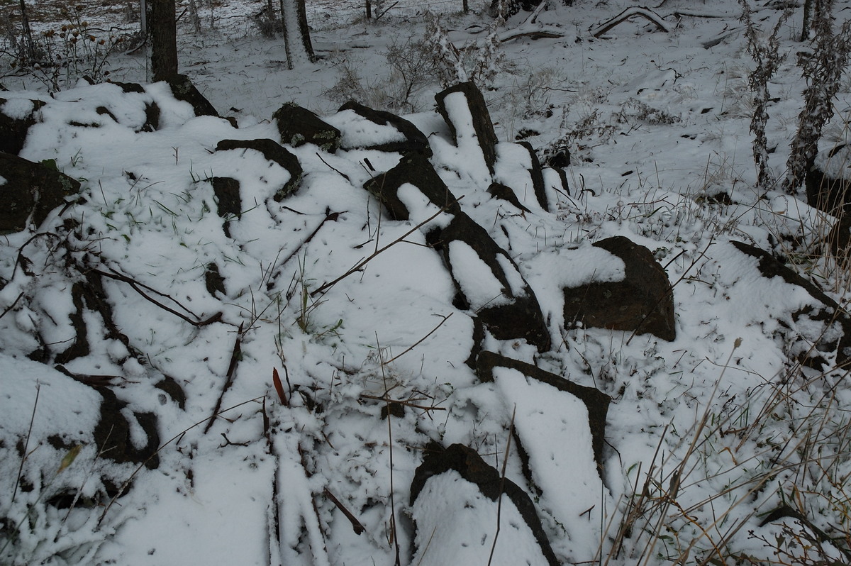 snow snow_pictures : Ben Lomond, NSW   28 June 2007