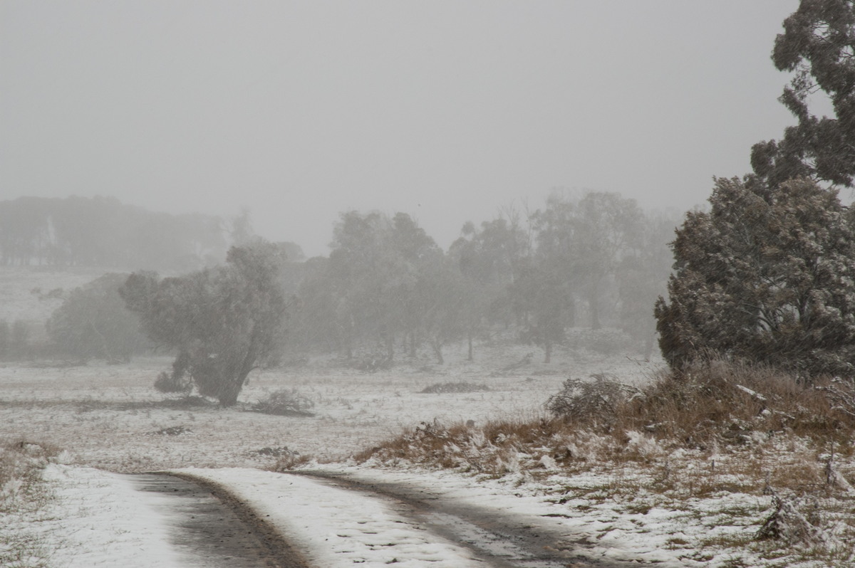 snow snow_pictures : Ben Lomond, NSW   28 June 2007