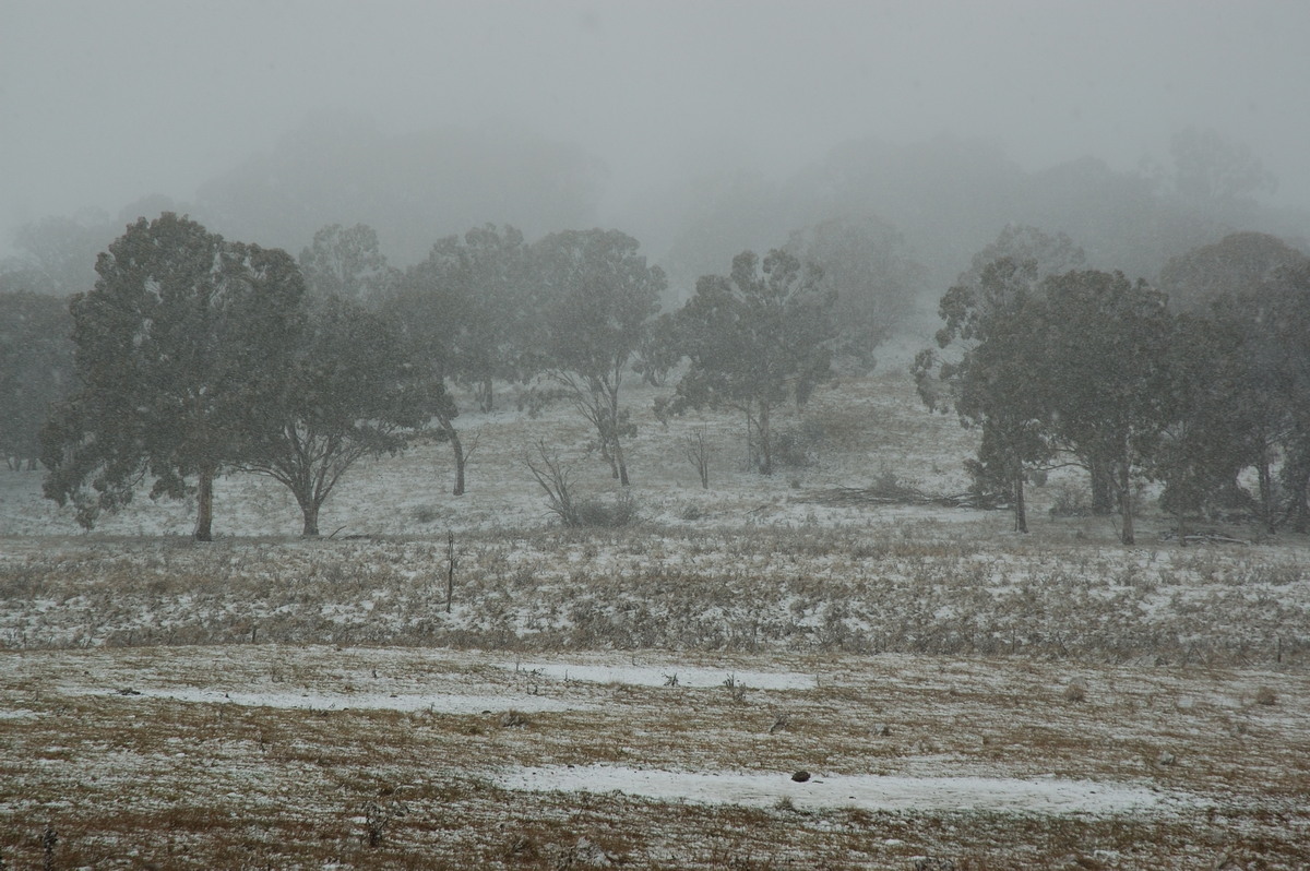 snow snow_pictures : Ben Lomond, NSW   28 June 2007