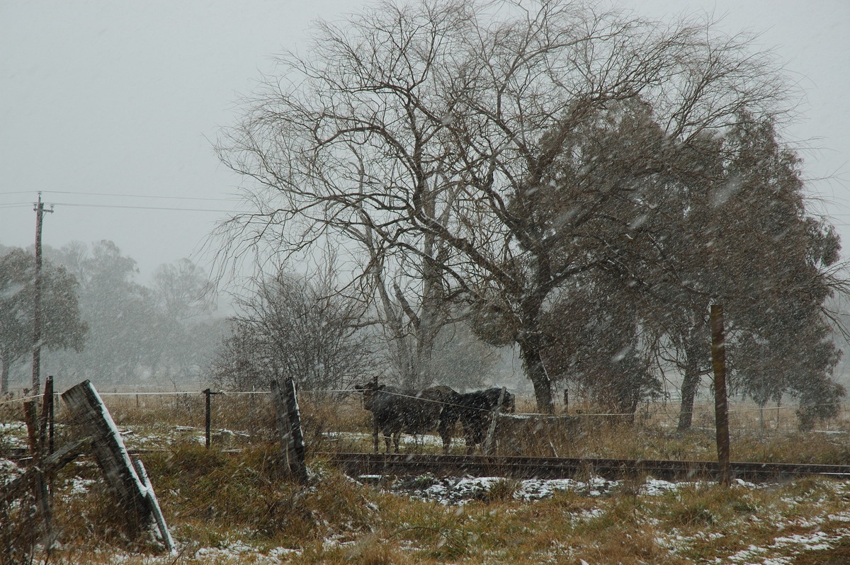 snow snow_pictures : Ben Lomond, NSW   28 June 2007