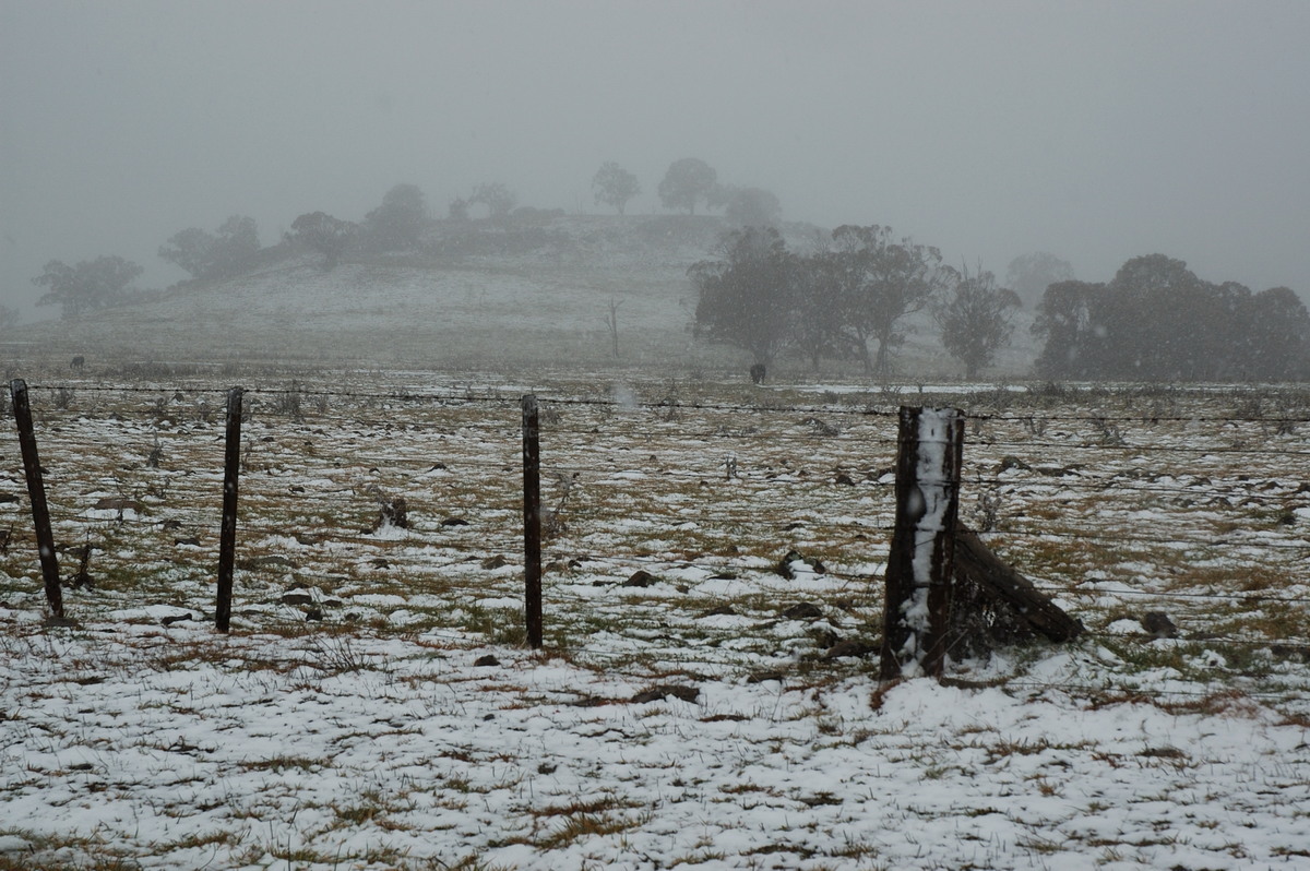 snow snow_pictures : Ben Lomond, NSW   28 June 2007