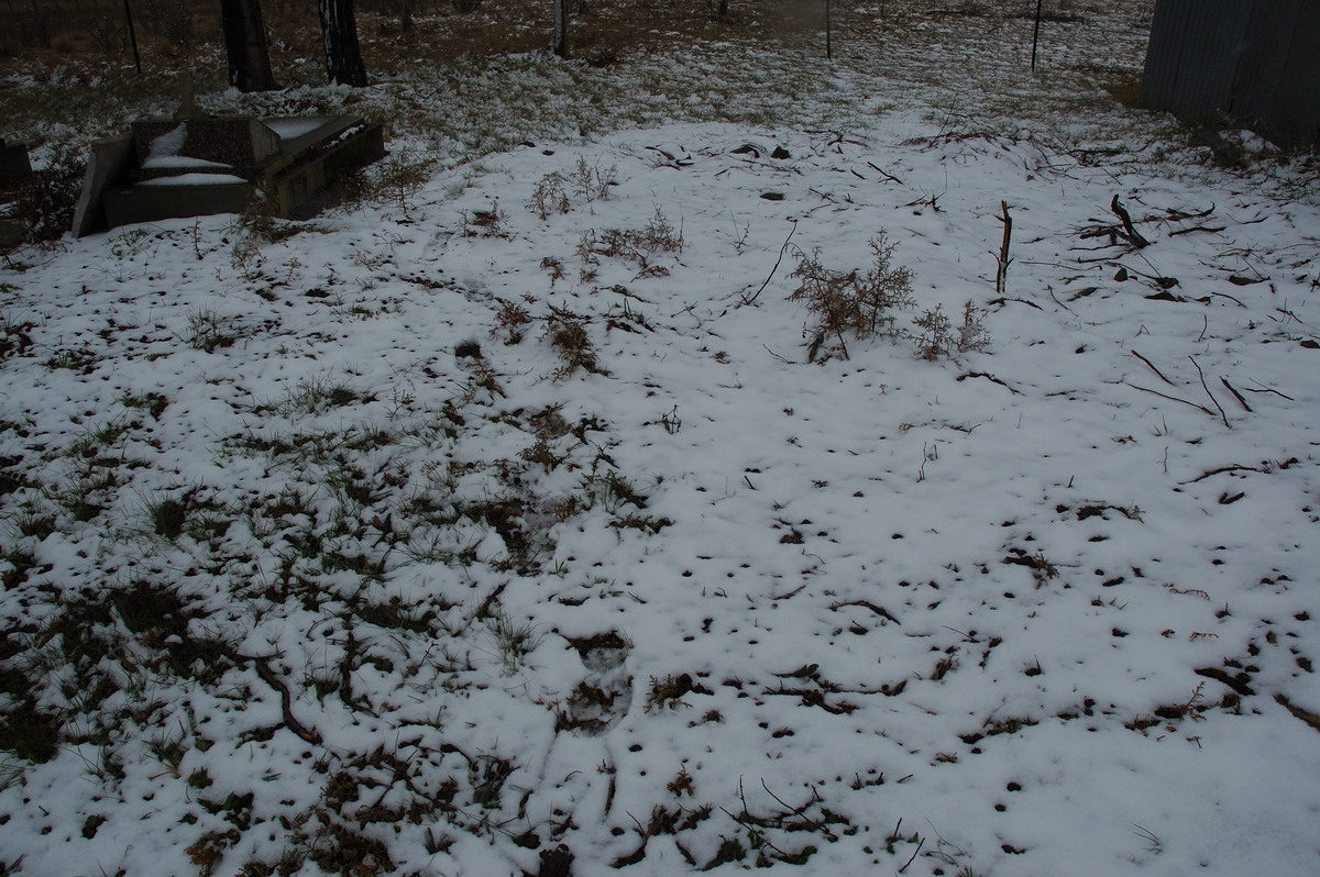 snow snow_pictures : Ben Lomond, NSW   28 June 2007