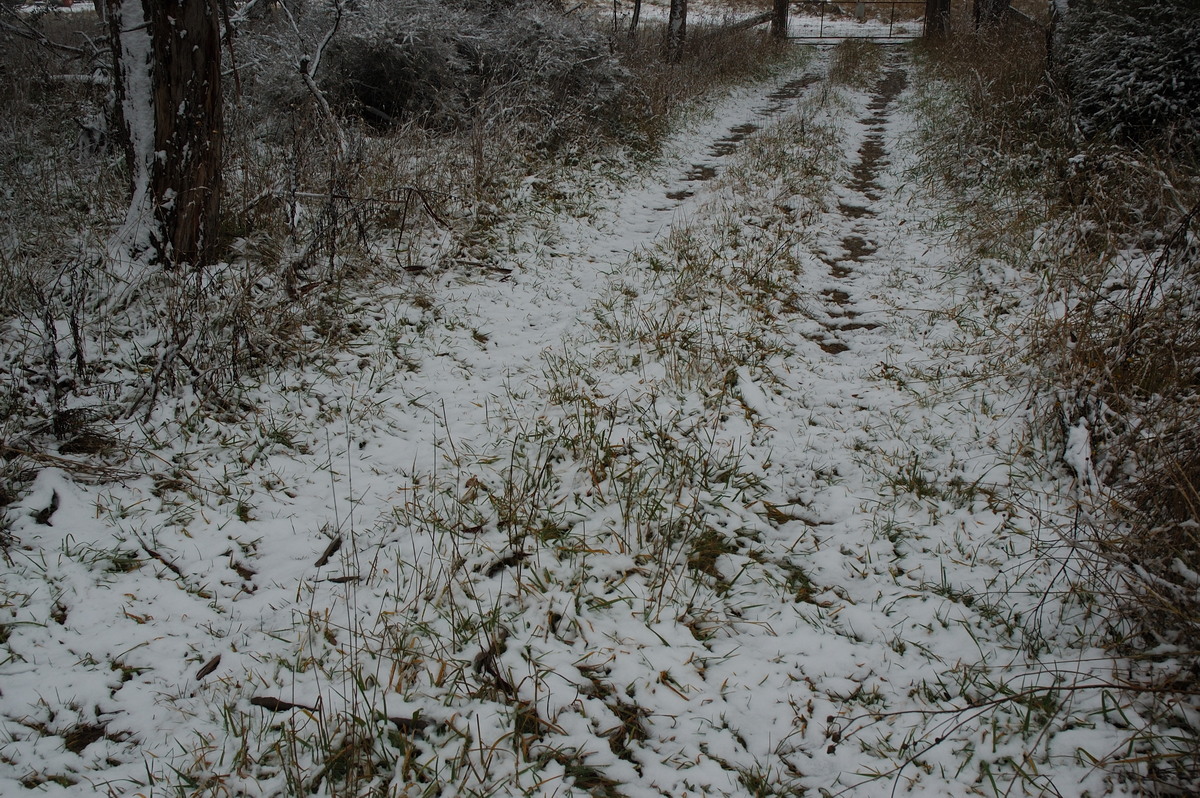 snow snow_pictures : Ben Lomond, NSW   28 June 2007