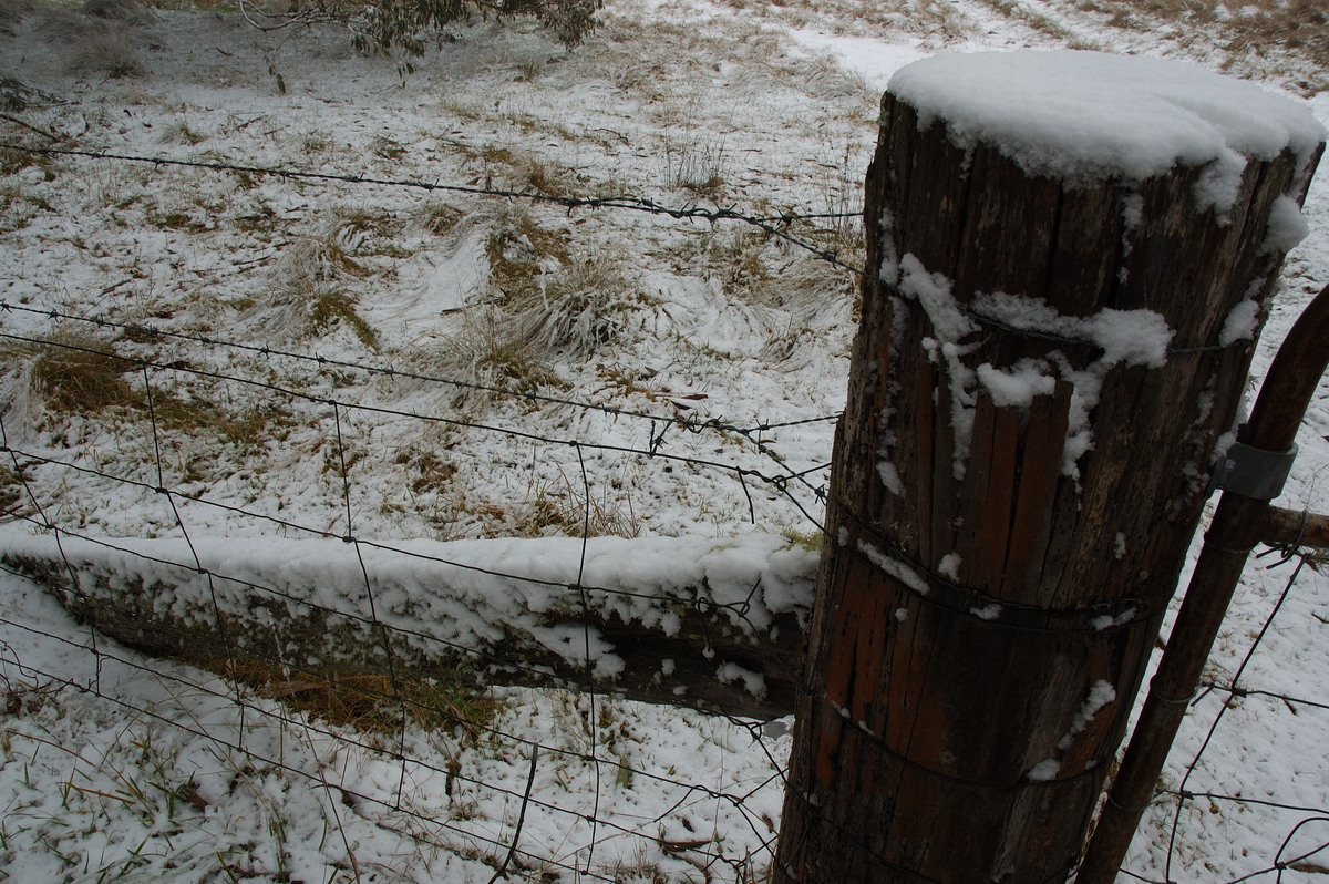 snow snow_pictures : Ben Lomond, NSW   28 June 2007