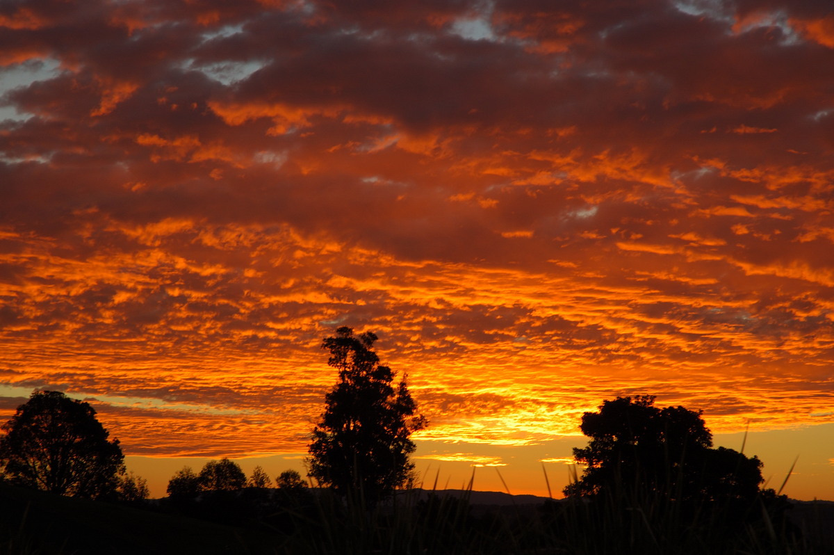 sunset sunset_pictures : McLeans Ridges, NSW   3 July 2007