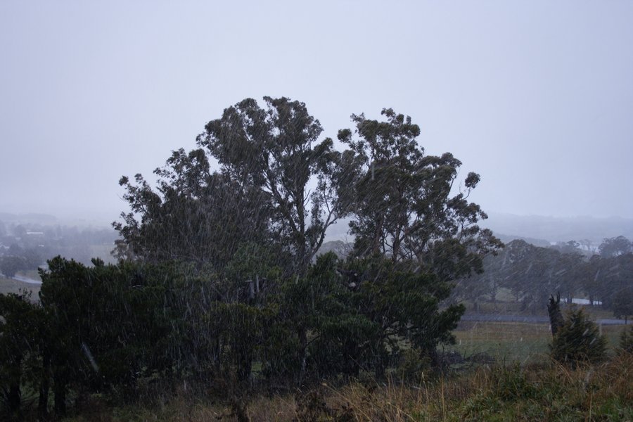 snow snow_pictures : Oberon, NSW   5 July 2007