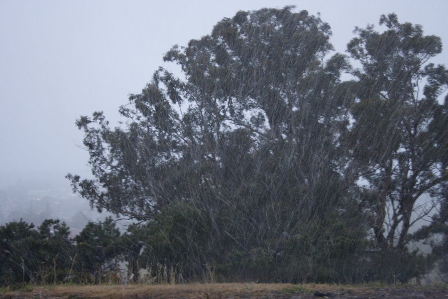 precipitation precipitation_rain : Oberon, NSW   5 July 2007