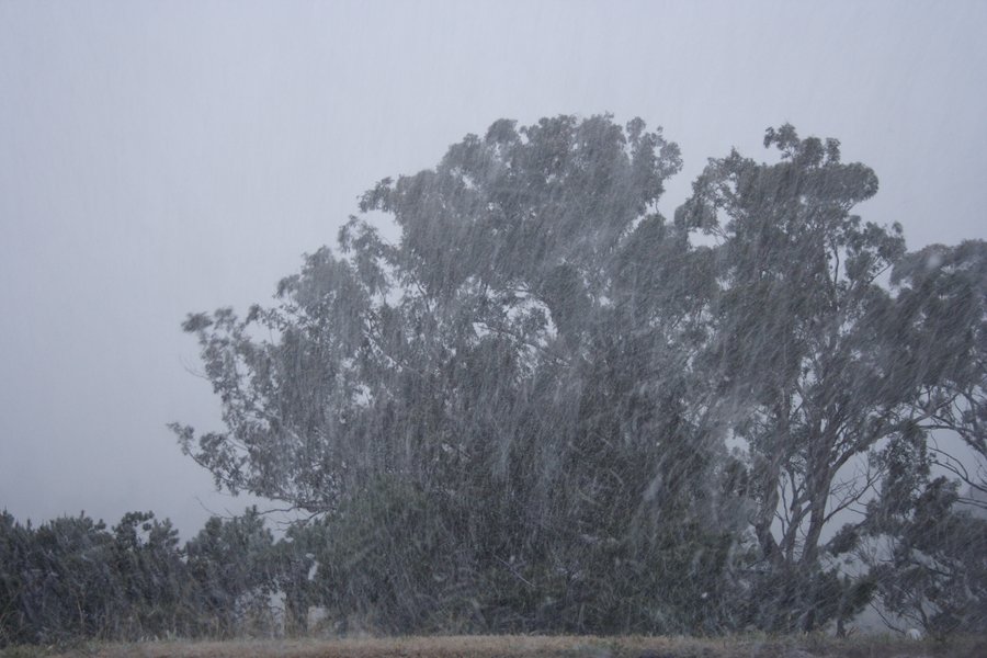 snow snow_pictures : Oberon, NSW   5 July 2007