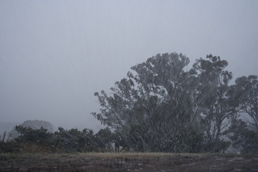 snow snow_pictures : Oberon, NSW   5 July 2007