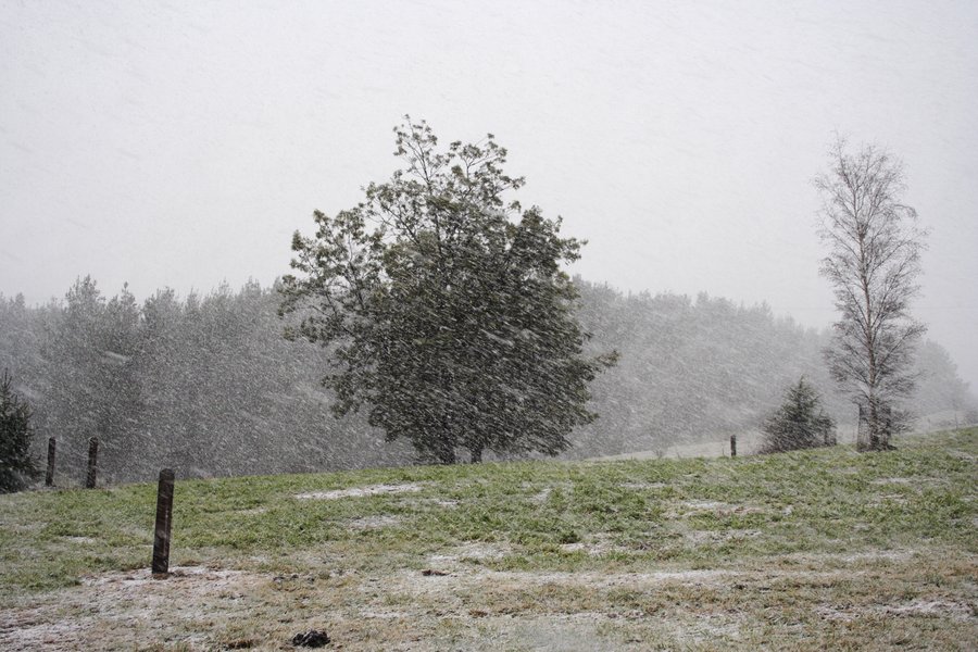 precipitation precipitation_rain : Oberon, NSW   5 July 2007