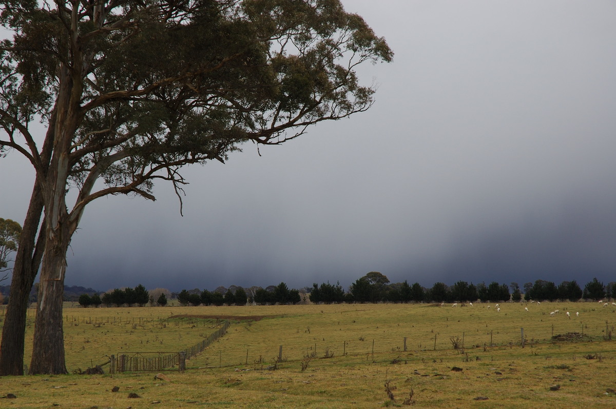 raincascade precipitation_cascade : near Ben Lomond, NSW   8 July 2007