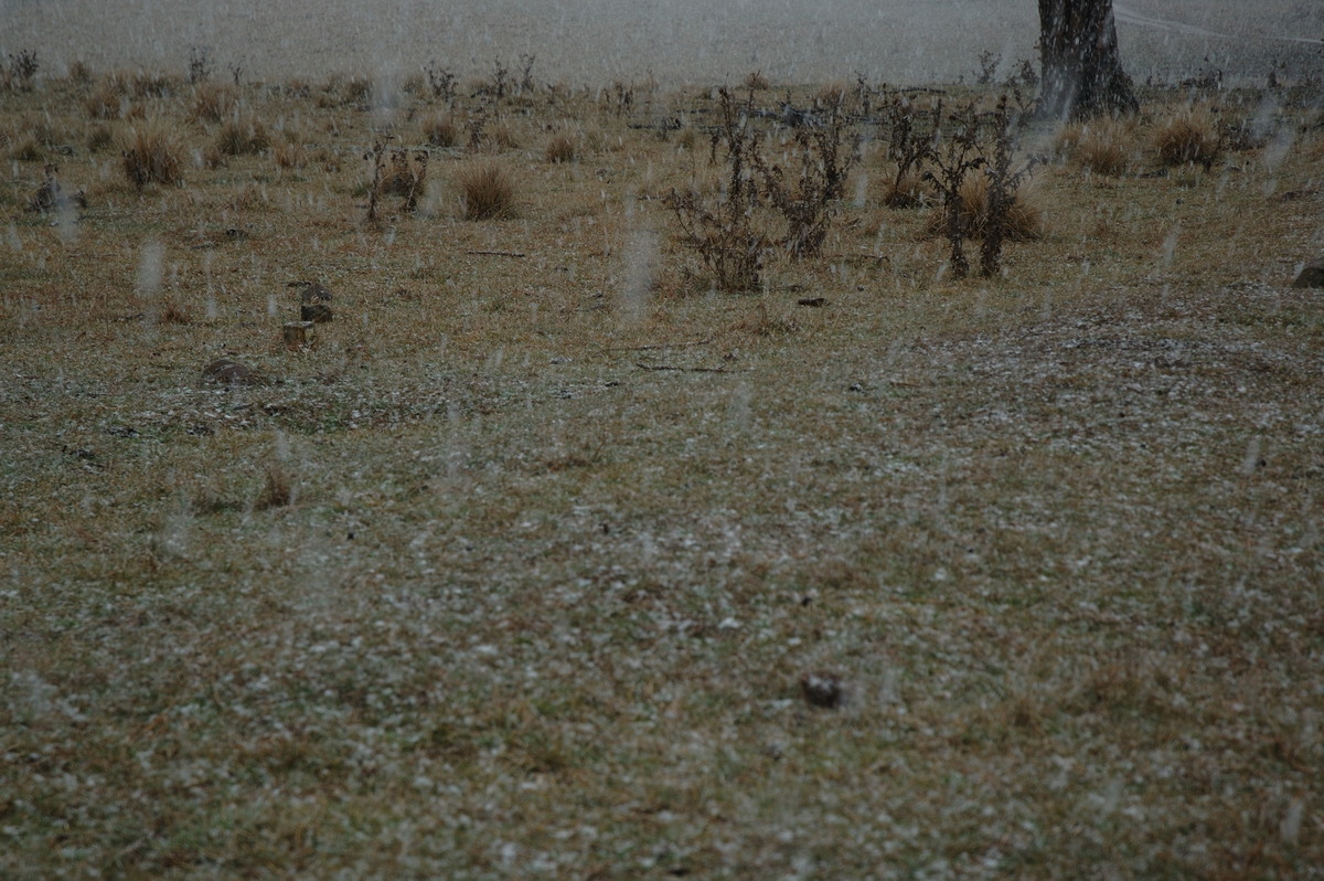 precipitation precipitation_rain : near Ben Lomond, NSW   8 July 2007