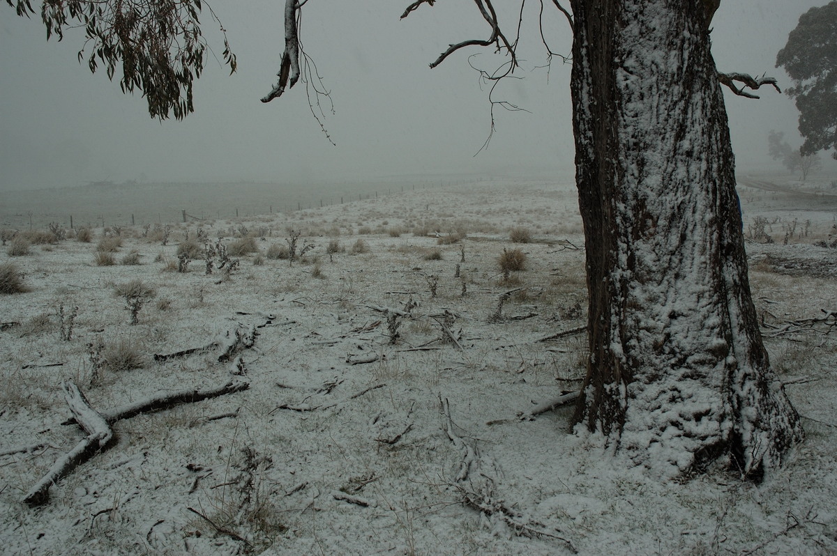 precipitation precipitation_rain : near Ben Lomond, NSW   8 July 2007