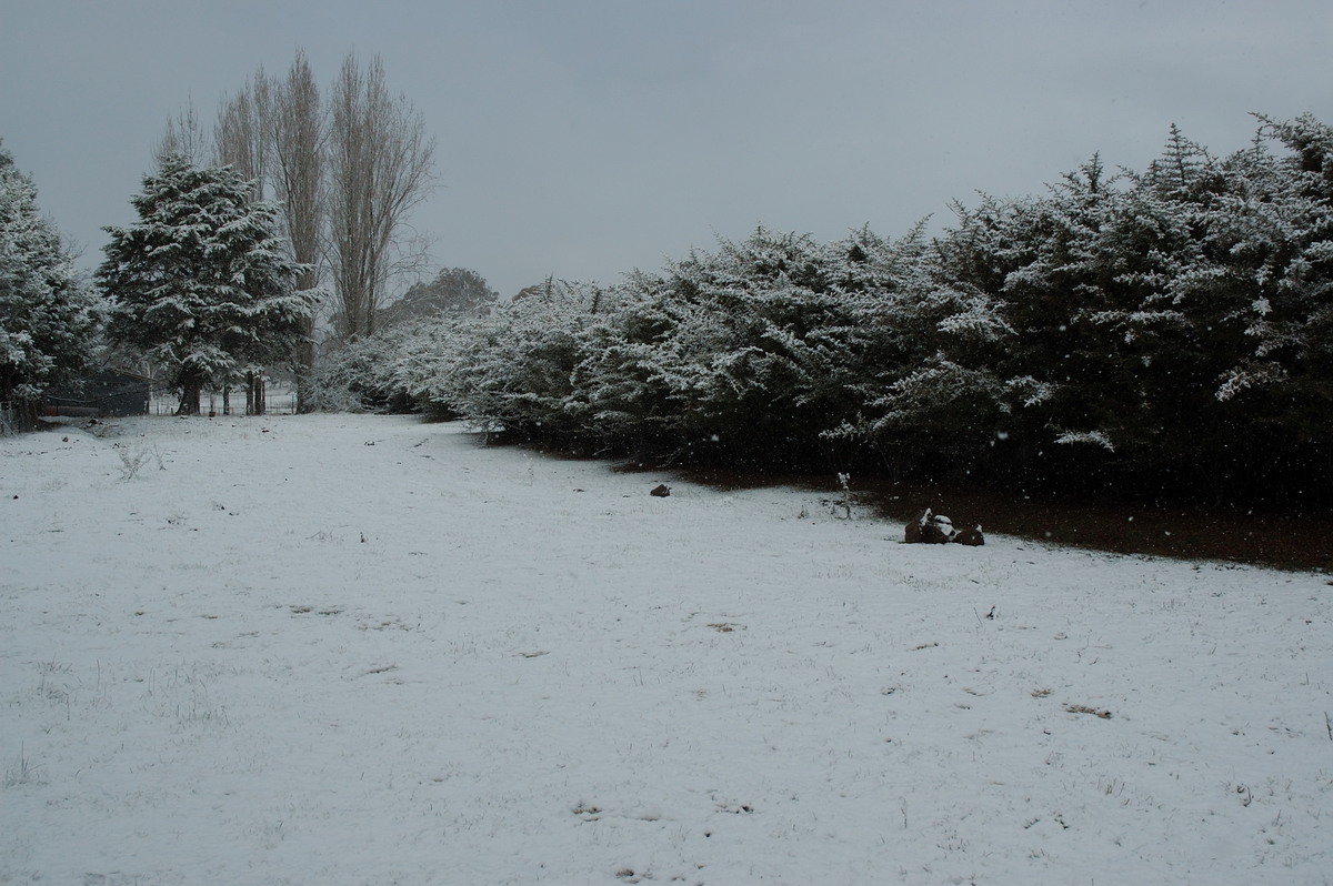 snow snow_pictures : near Ben Lomond, NSW   8 July 2007