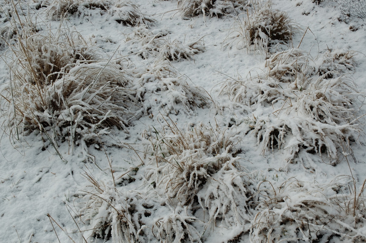 snow snow_pictures : near Ben Lomond, NSW   8 July 2007