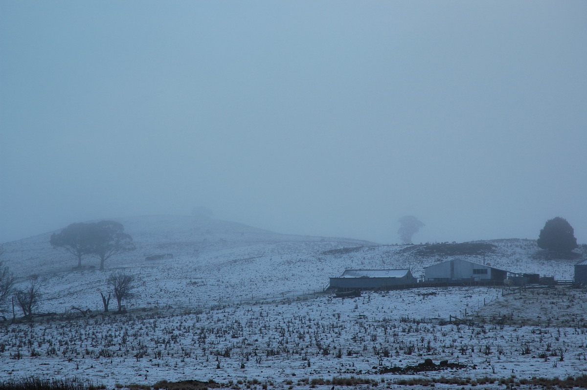 snow snow_pictures : near Ben Lomond, NSW   8 July 2007