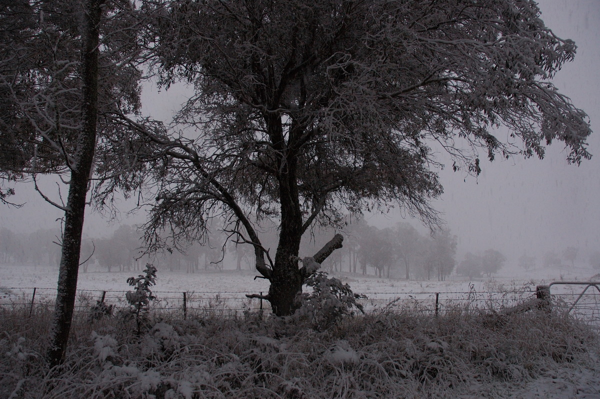 snow snow_pictures : Ben Lomond, NSW   8 July 2007