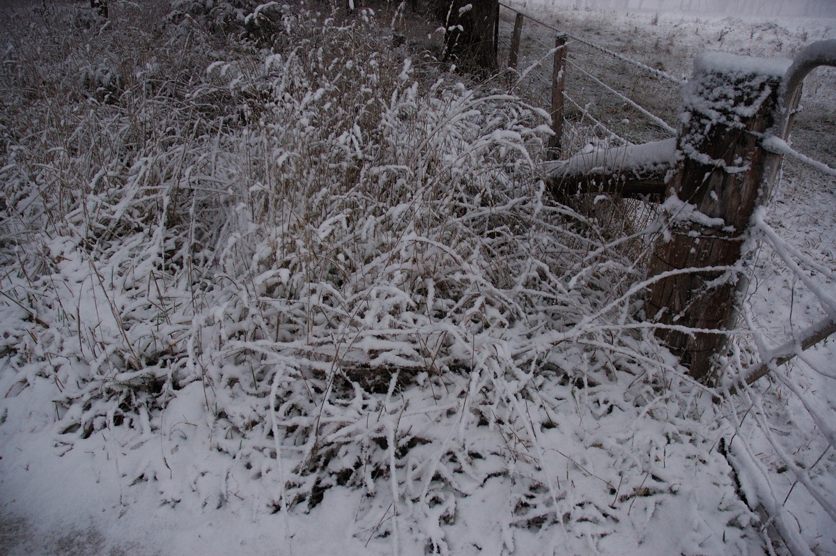 snow snow_pictures : Ben Lomond, NSW   8 July 2007