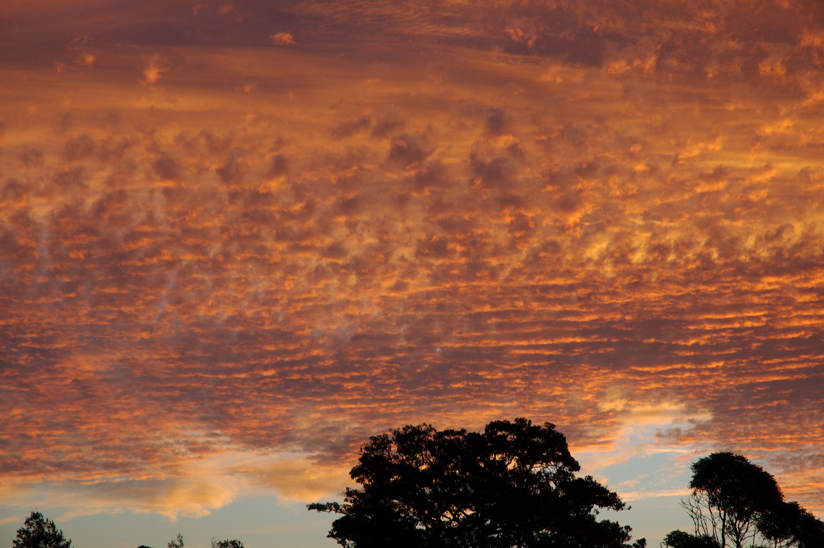 sunset sunset_pictures : McLeans Ridges, NSW   1 August 2007