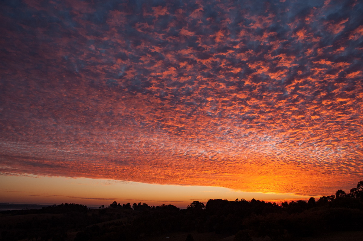 altocumulus mackerel_sky : McLeans Ridges, NSW   2 August 2007